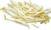 Bean Sprouts