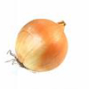 Onion